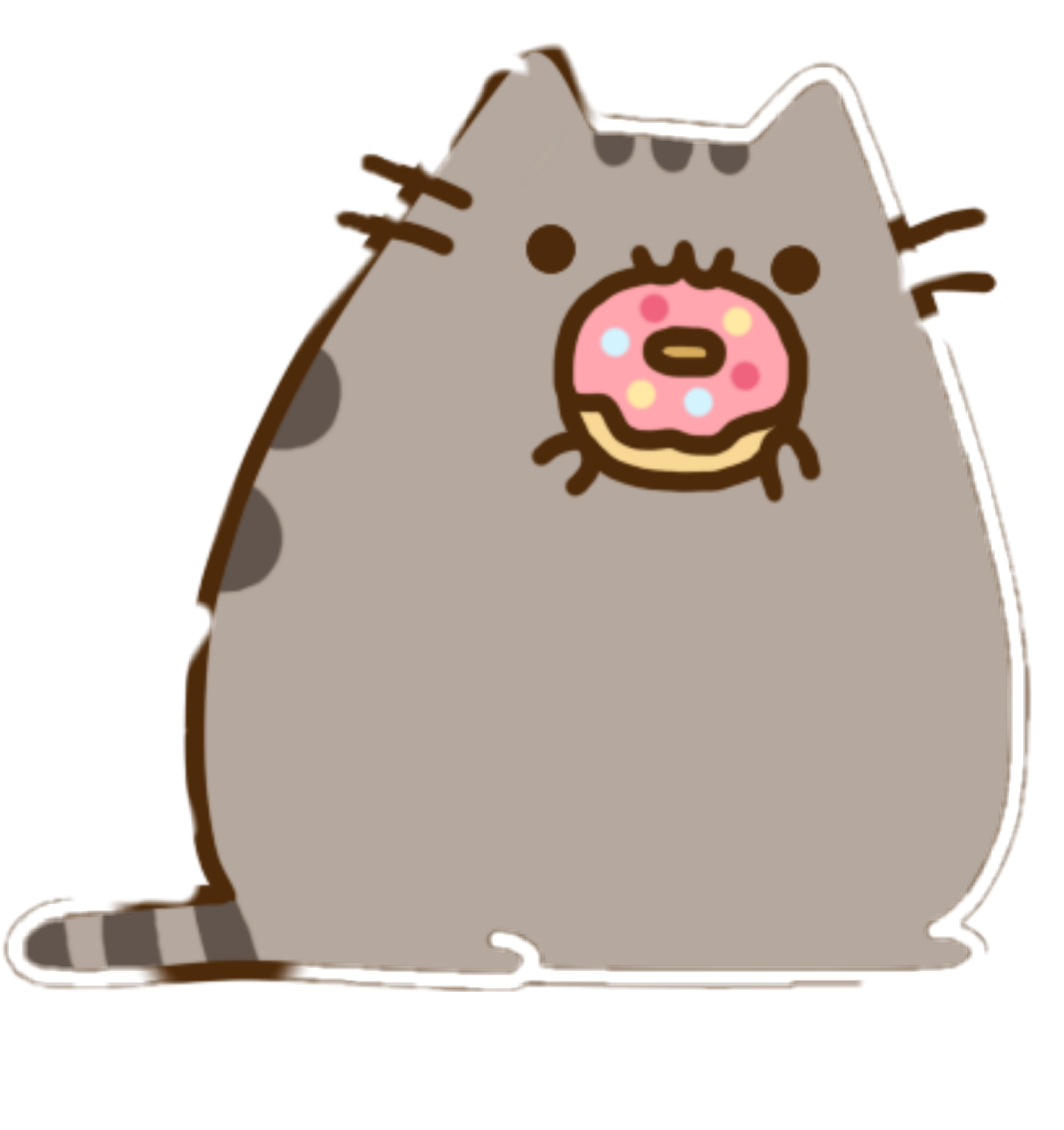 pusheen cat donut