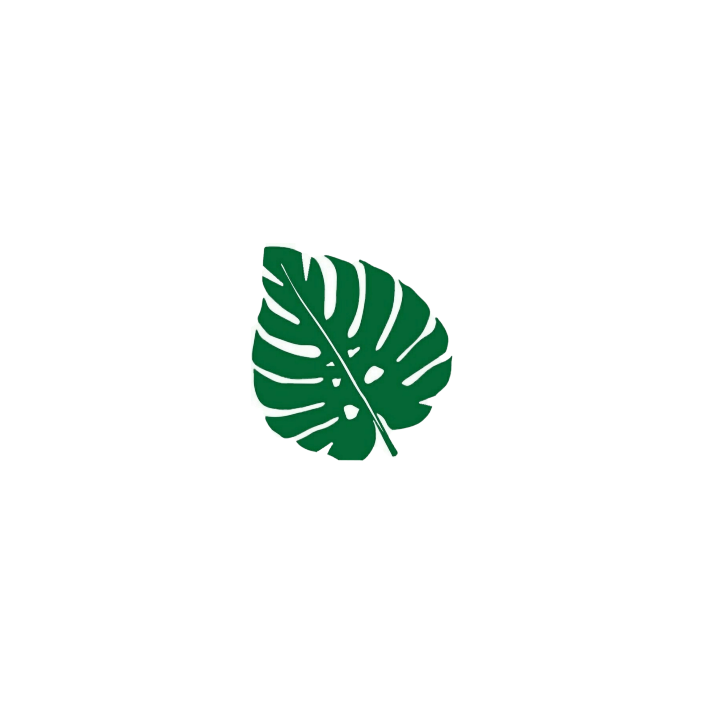 monstera freetoedit #monstera sticker by @mahgobbi