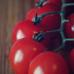 freetoedit food colorful macro tomatoes