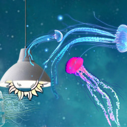 freetoedit jellyfish jelly foryou forever irchanginglamp
