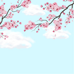 freetoedit cherryblossom senery sky japan