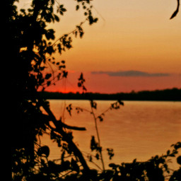 freetoedit sunset settingsun myphoto lakeview pcthegoldenhour