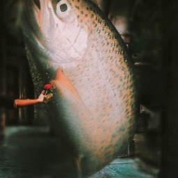 freetoedit fish giant surreal photomanipulation