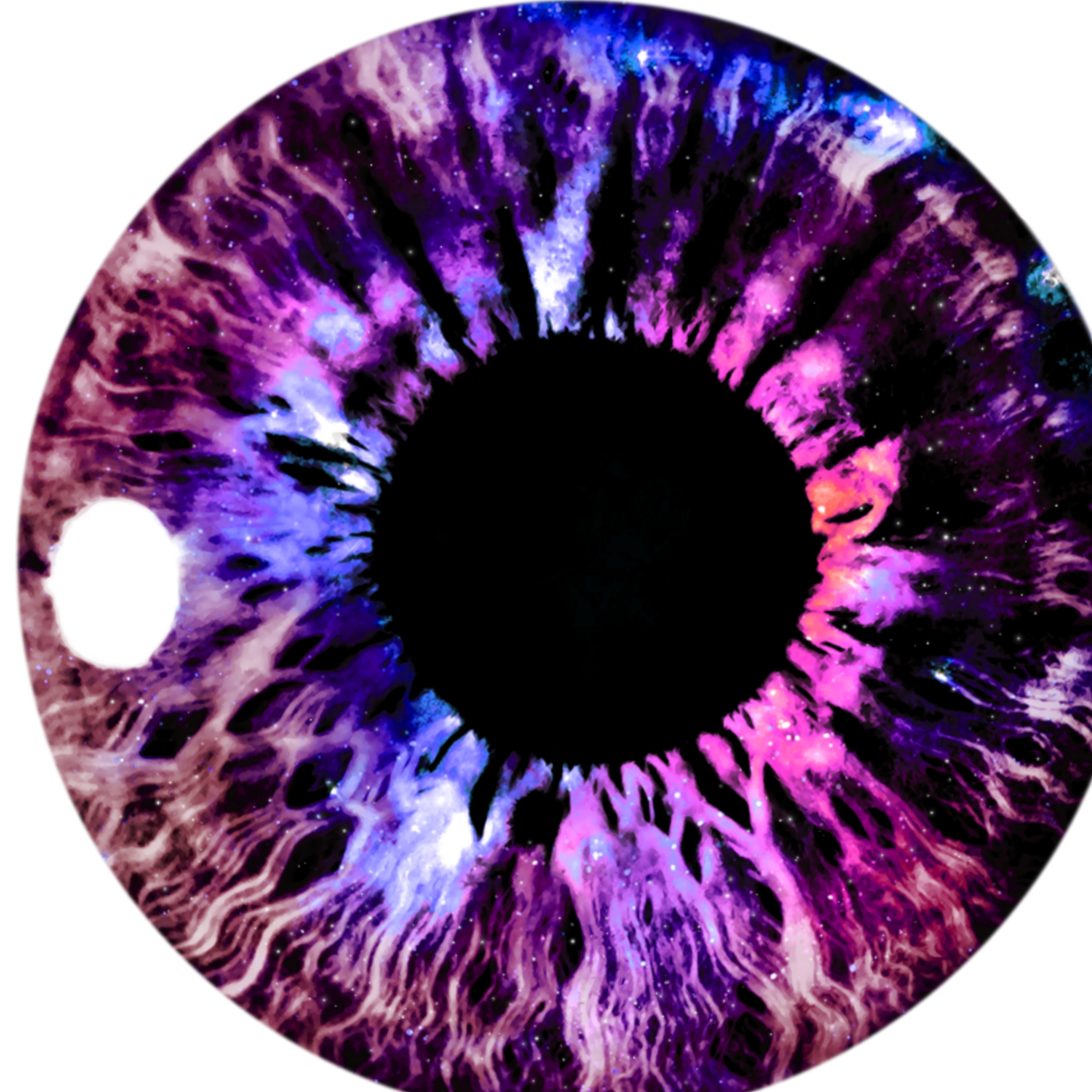 Ресницы и брови на прозрачном фоне. Розовые зрачки. Глаз на розовом фоне. Малиновые глаза. Красивые глаза.