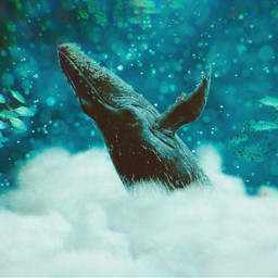 art artistic artstyle whale thewhale thewhaleremixchallenge surreal surrealism psychedelic shimmer fish ocean clouds blue green teal aqua challenge picsart madewithpicsart srcthewhale freetoedit
