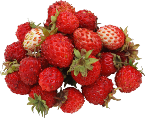 strawberry strawberries strawberrys fruit fruits freetoedit