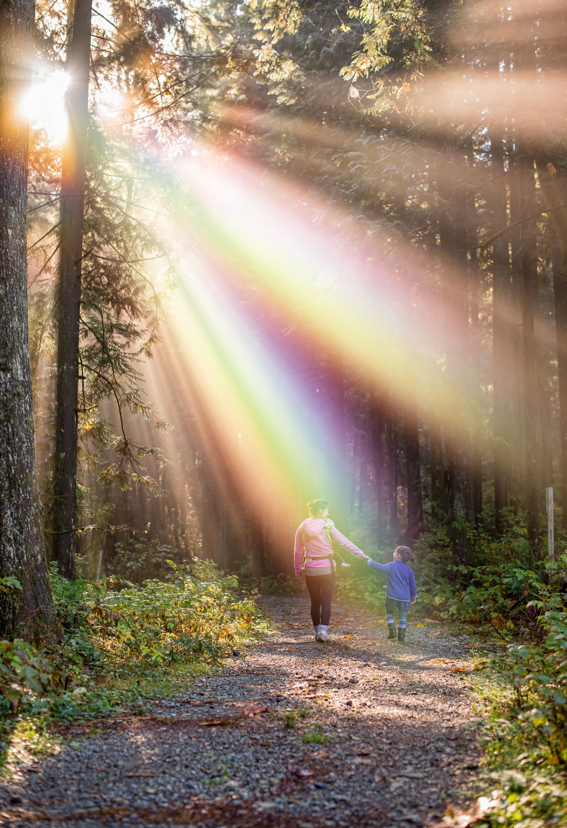  #freetoedit #mother #girl #family #rainbow #morning #sun #forest #amazing #love #nature #remixed from @freetoedit 