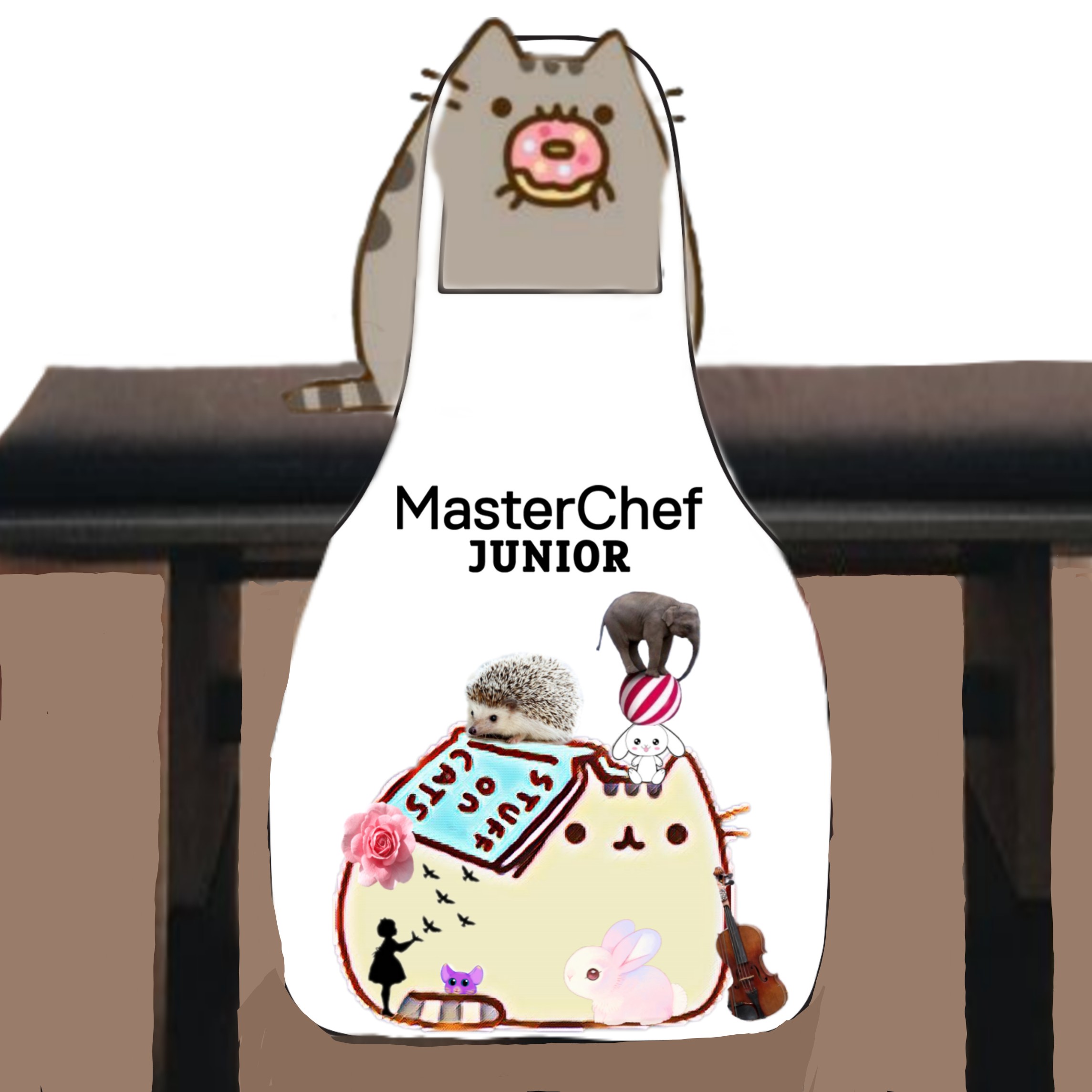 Find more pusheen photos 295013010148201