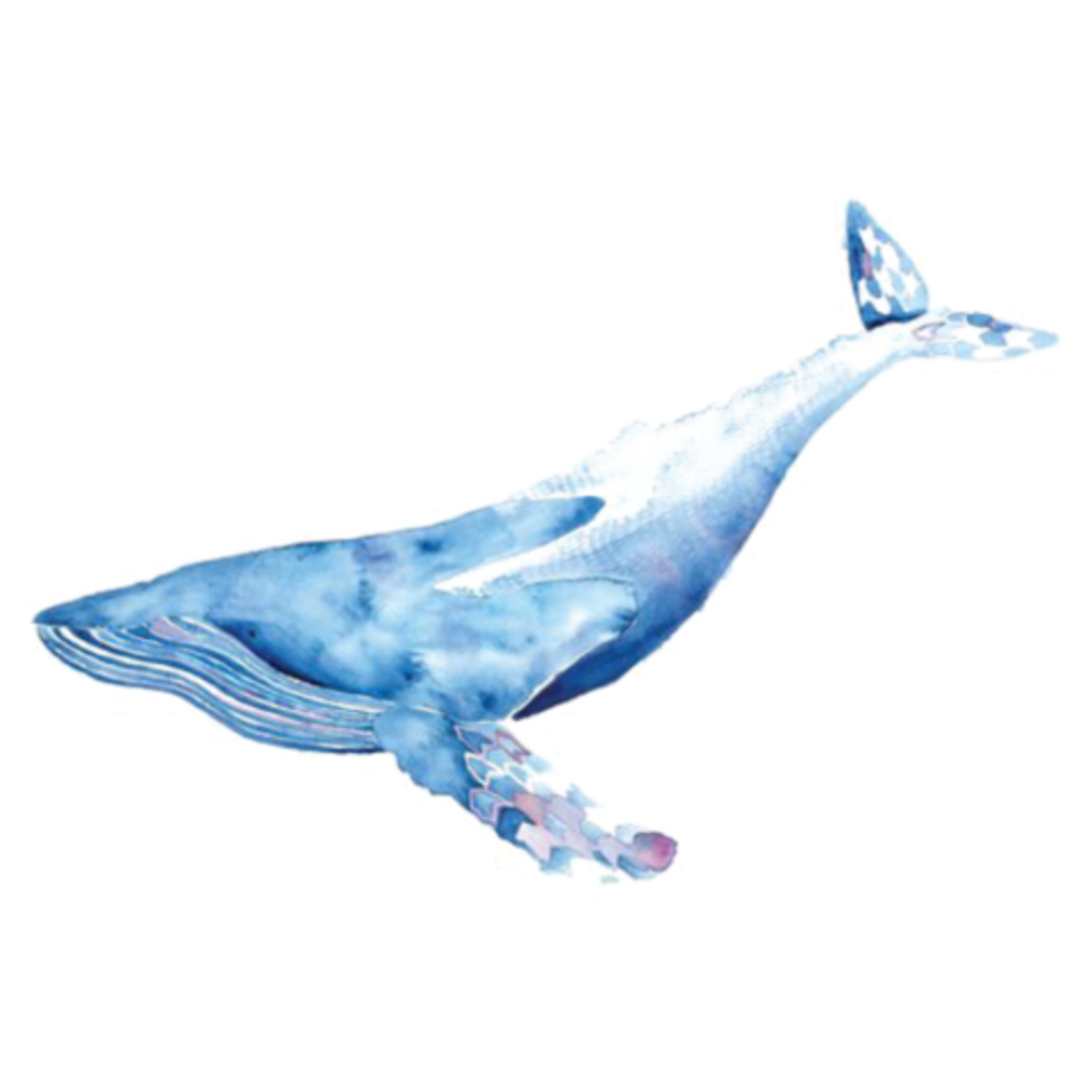 ftestickers watercolor painting whale sticker by @pann70