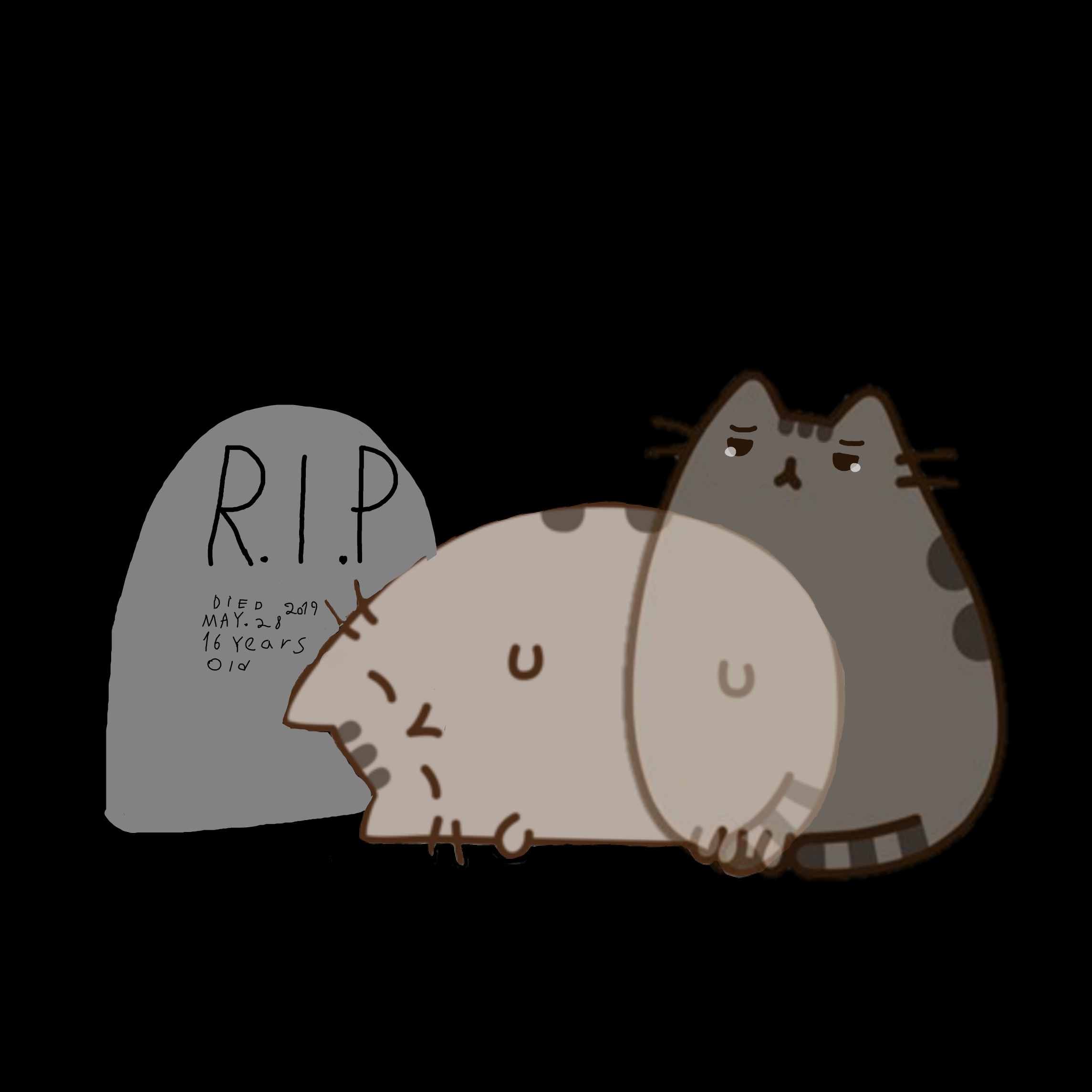 sad pusheen