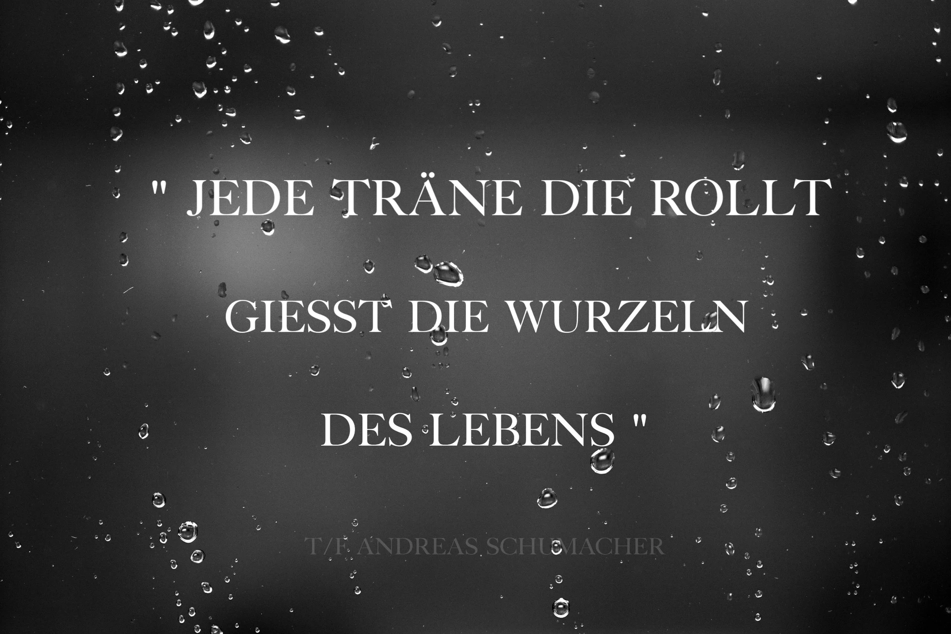 Get Ziate For iPhone Ziate