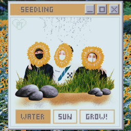 freetoedit bts runbts flower sunflowers