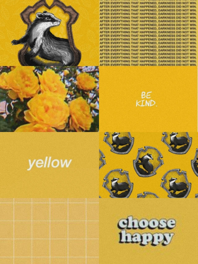picture Hufflepuff Aesthetic Harry Potter Profile Pictures hufflepuff aesthetic image by ï¾ ï¾