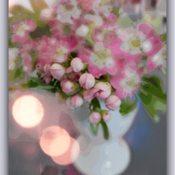 photography flowers pink editedbyme postereffect bokeh
