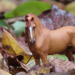 schleich picture modelhorse riding cute horse blätter herbst pferdefotografie pferd horsephotography horsecollection 2015 fall oldpicture sweet27pictures