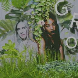 freetoedit grow willow willowsmith avrillavigne song local