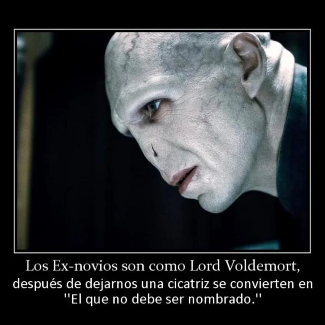 Memes Voldemort Image By Acamps 21 Memes Voldemort Image By Acamps 21