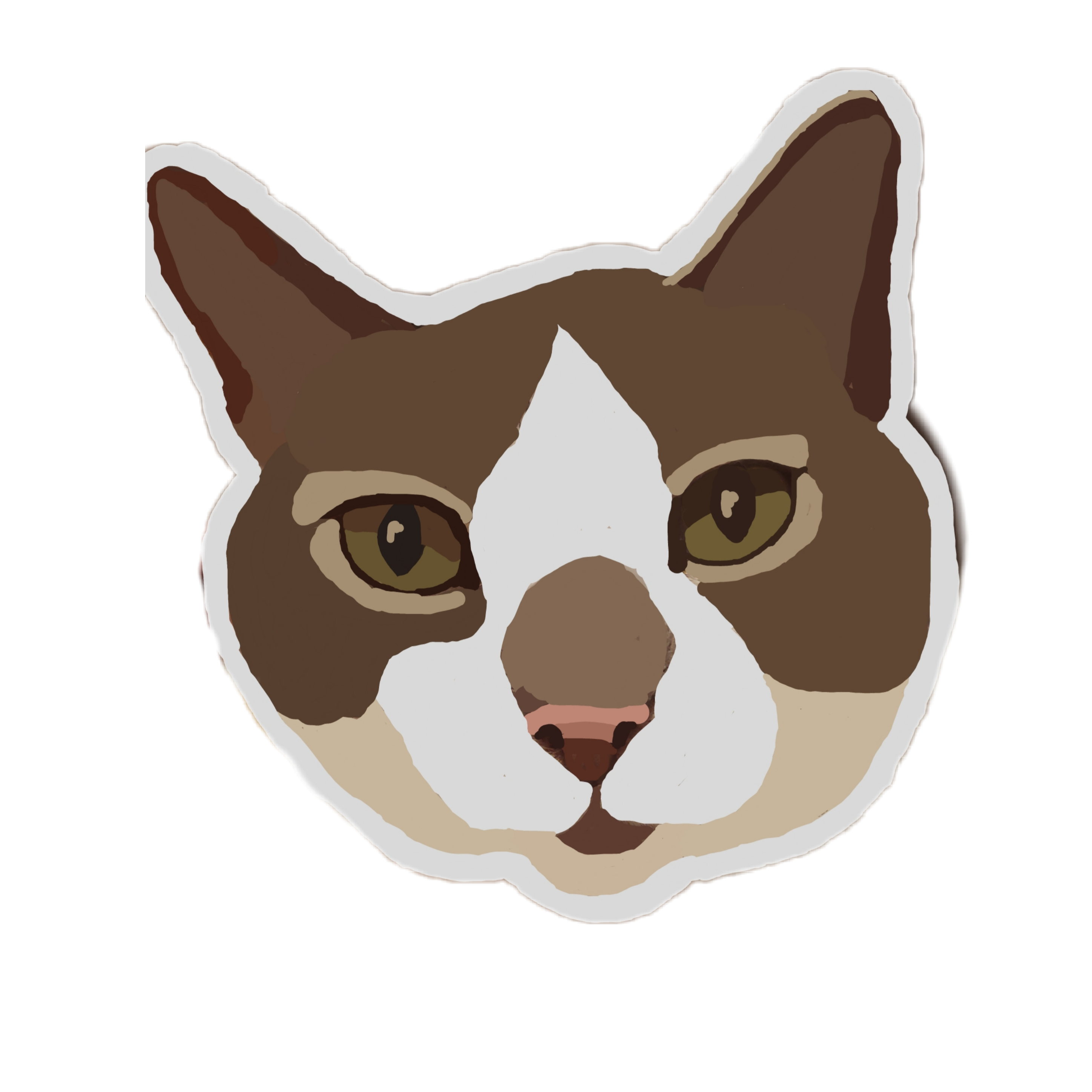 cats tabby picsartdrawtool freetoedit sticker by @cb953342