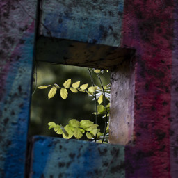 freetoedit window square wall colours