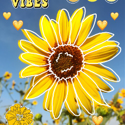 sunflower yellow aesthetic goodvibes scrunchi freetoedit