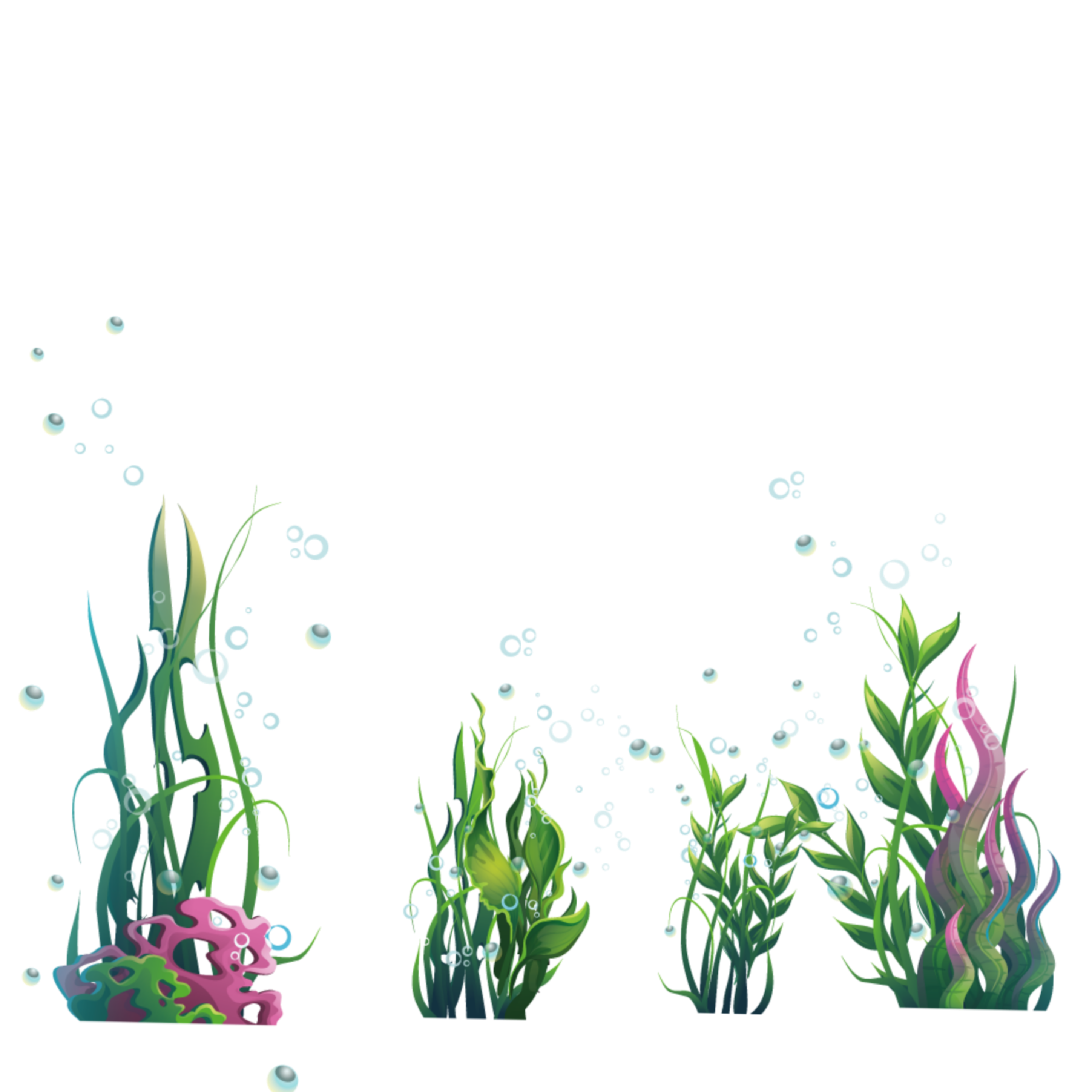 This visual is about ftestickers underwater bubbles seaweed colorful freeto...