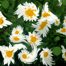 freetoedit daisies nature florals floralpattern