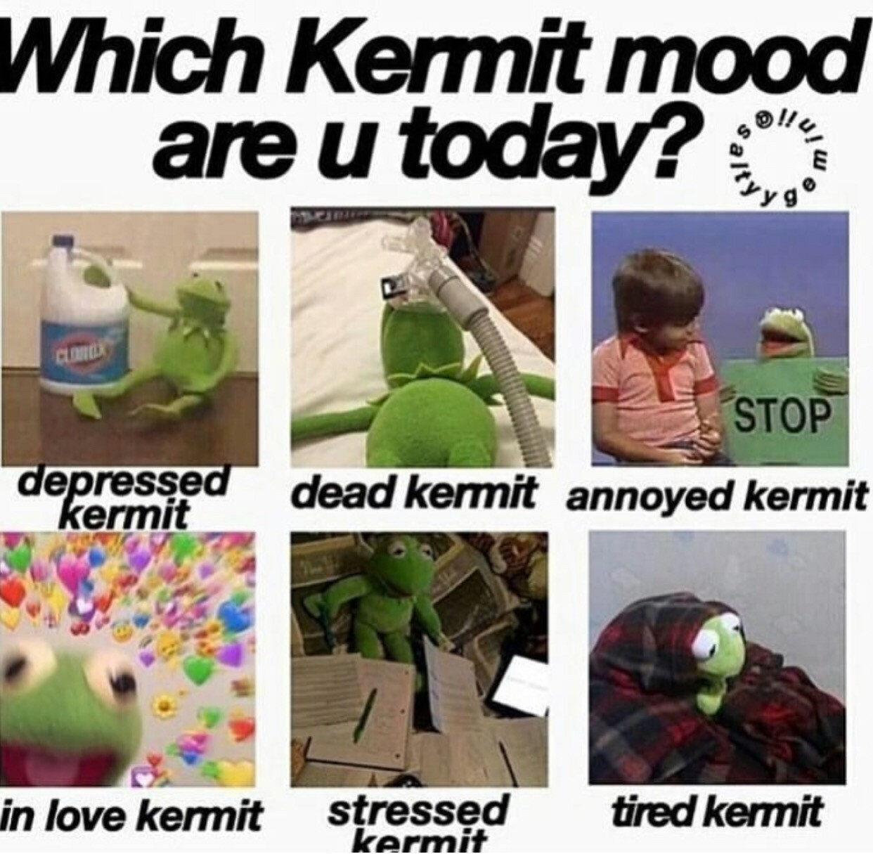 Which are you today. Mood Мем. What is your mood today. Мемы про настроение.