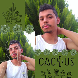goodafternoon boatarde cactus freetoedit edit