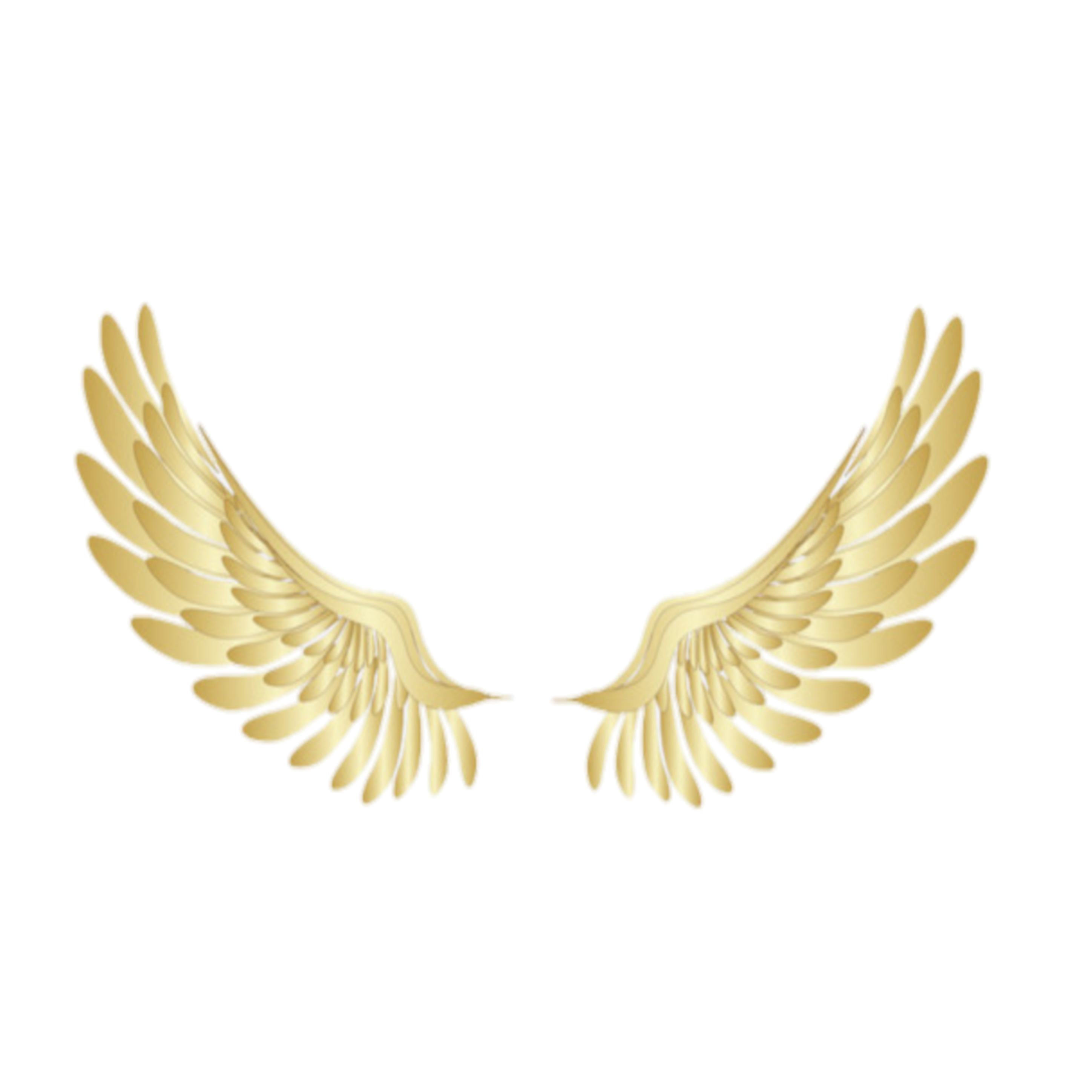 Золотистые крылья. Золотые Крылья. Золотые Крылья ангела. Золотые Крылья на прозрачном фоне. Золотые ангельские Крылья.