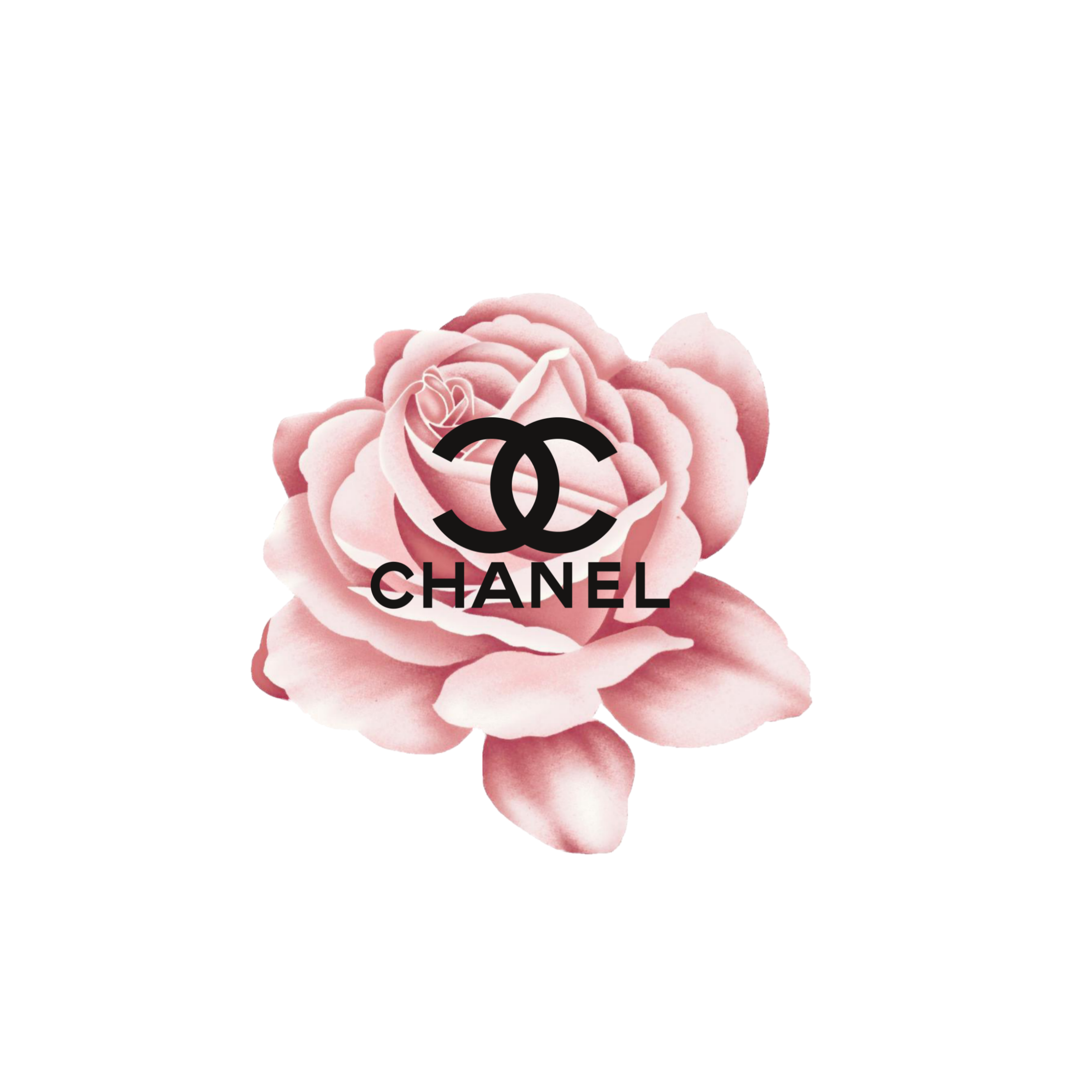 chanel flower chanelflower sticker by @mirabellalove