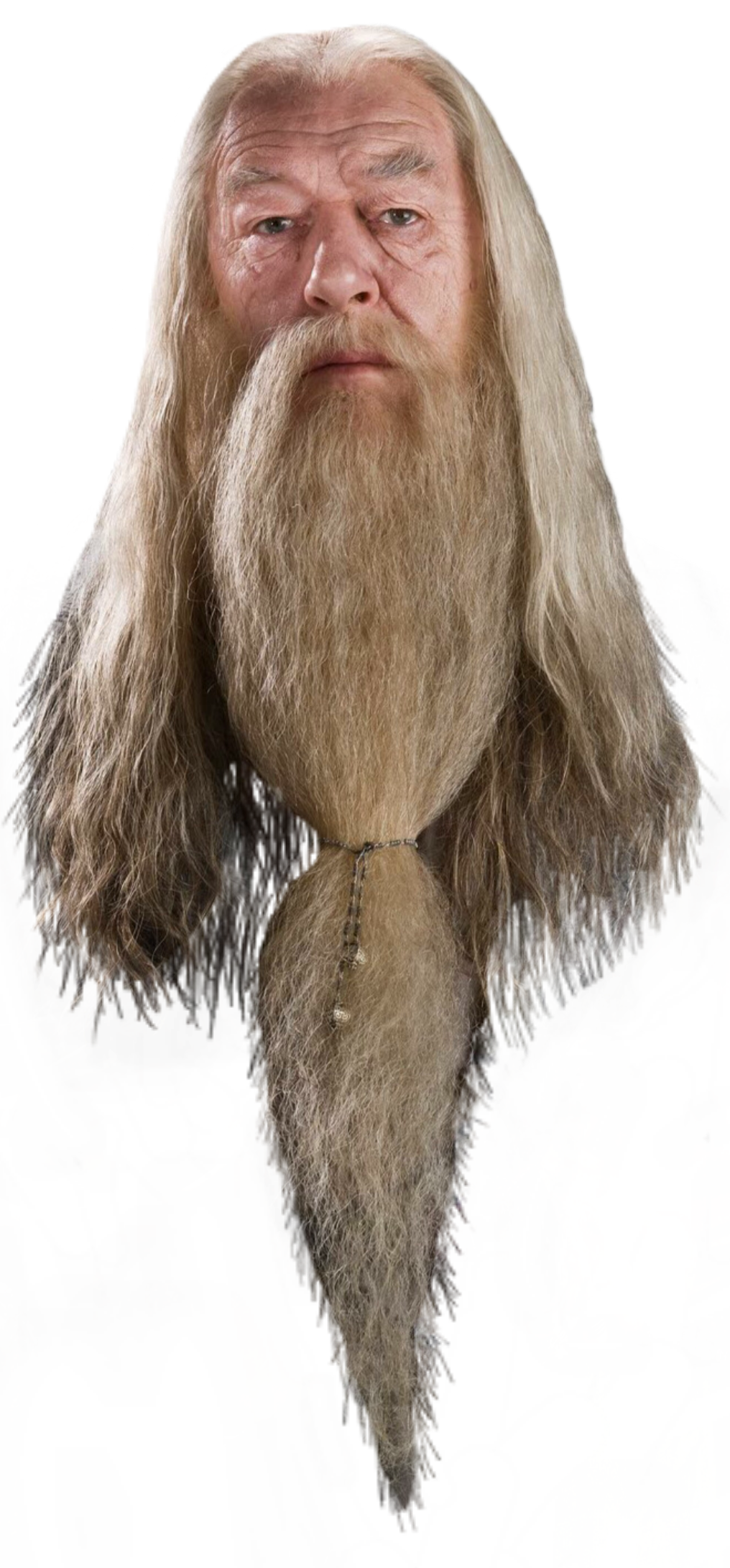 Dumbledore And His Sexy Beard Beard Dumbledore Harry P