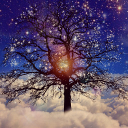 freetoedit ecintheclouds intheclouds galaxy tree