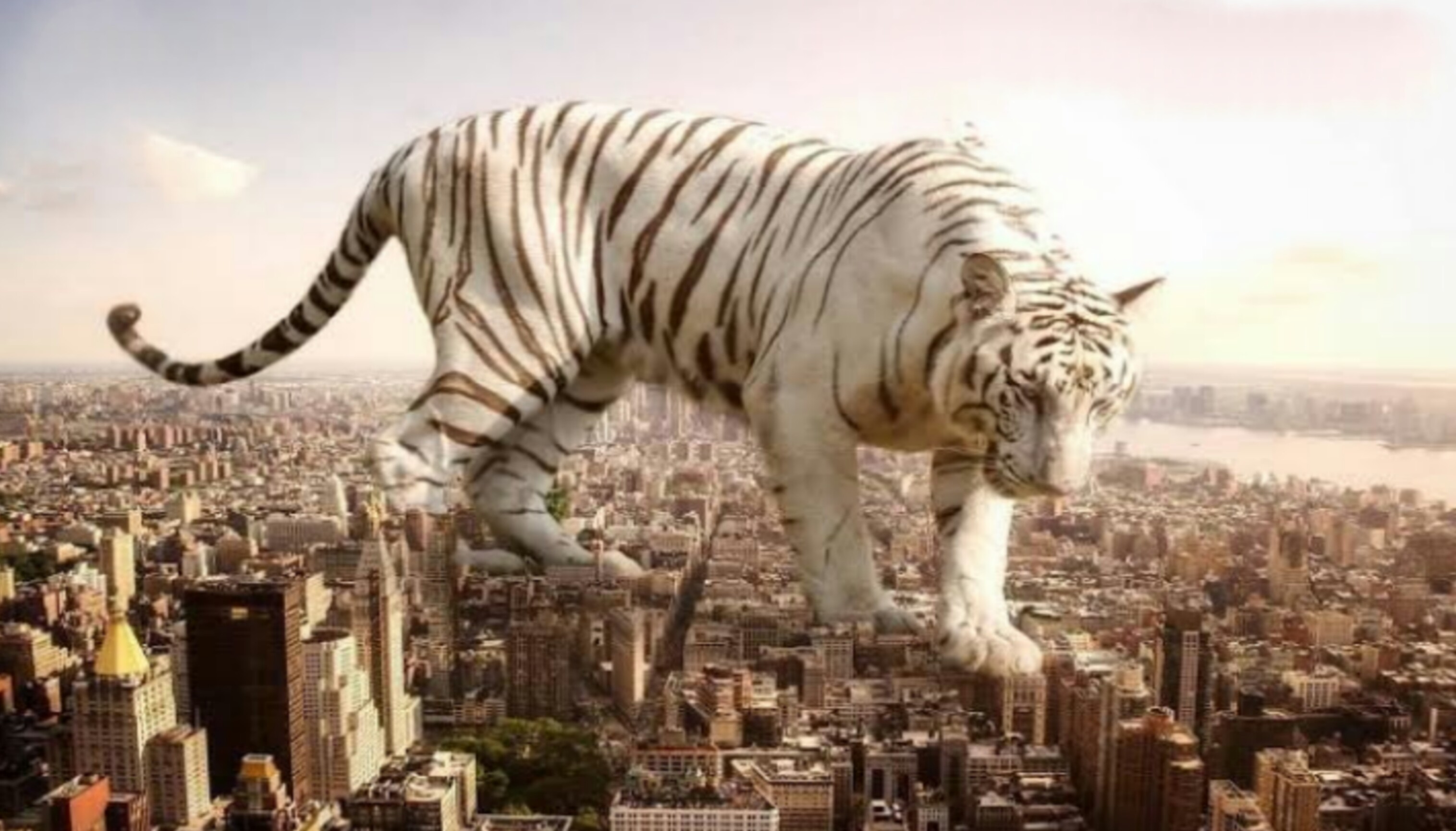 картинки больших животных в мире
