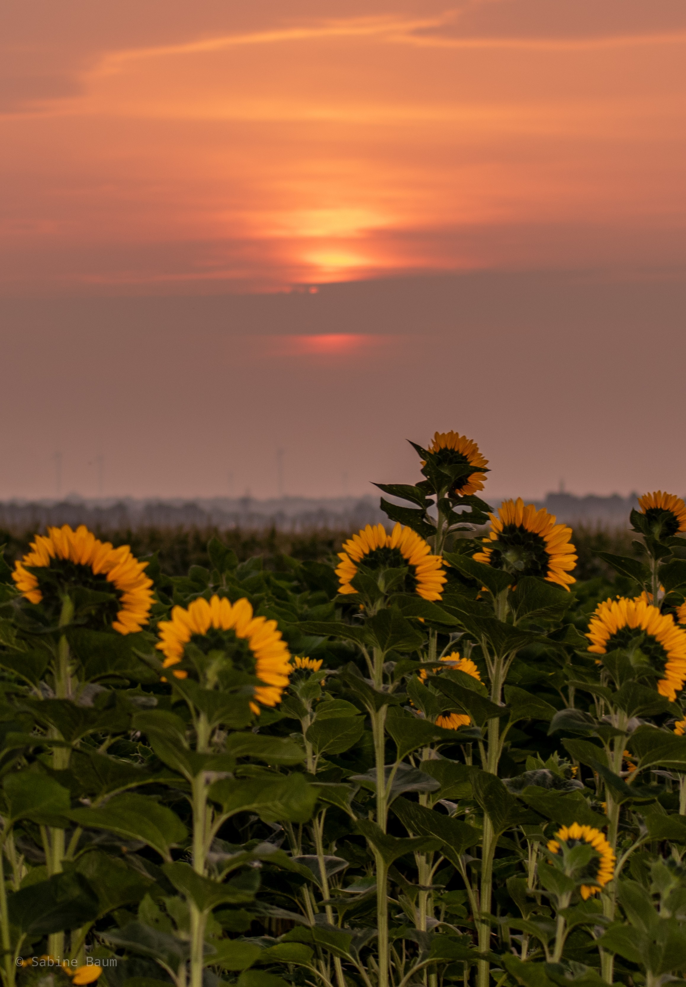 Find more photography photos 305404775059201