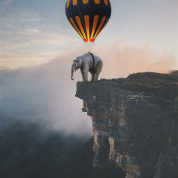 freetoedit hotairballoon elephant giantanimals cliff ecgiantanimals