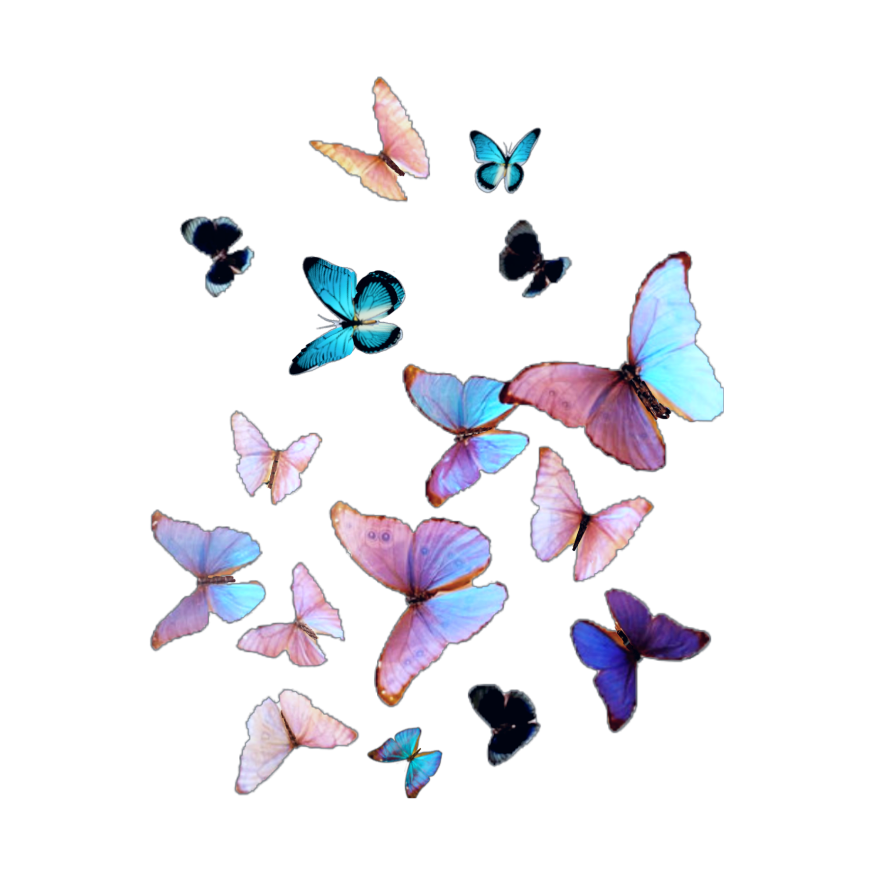 butterflies butterfly many beautiful sticker by @esiin357