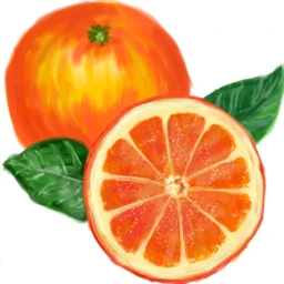 orange@verenaweber2 dcmyfavfruit myfavfruit orange