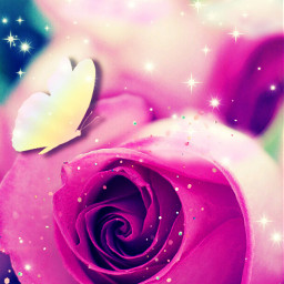 freetoedit flower rose sparkle sweet