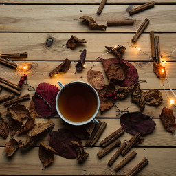 freetoedit tea lamplight autumn