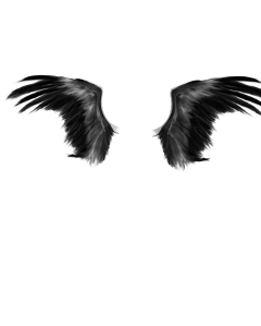 крыло wing ворона демон stickers freetoedit