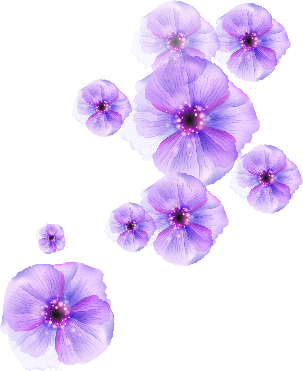 purple flowers png