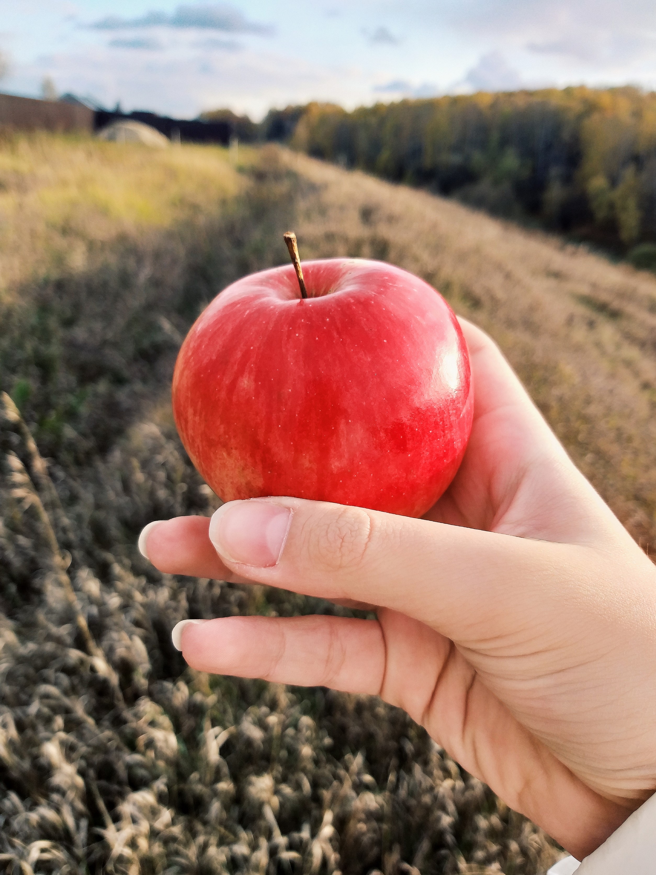 Apple in seas. Зелёное яблоко для группы. Желтое яблоко на белом фоне. Air fly apple. Сюрреализм яблоко бабочка.