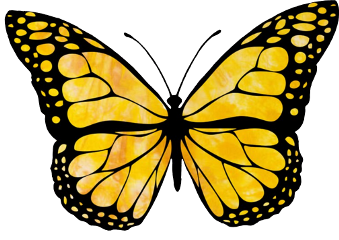 yellow butterfly freetoedit