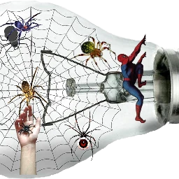 scspiderweb spiderweb freetoedit lightbulb cobweb