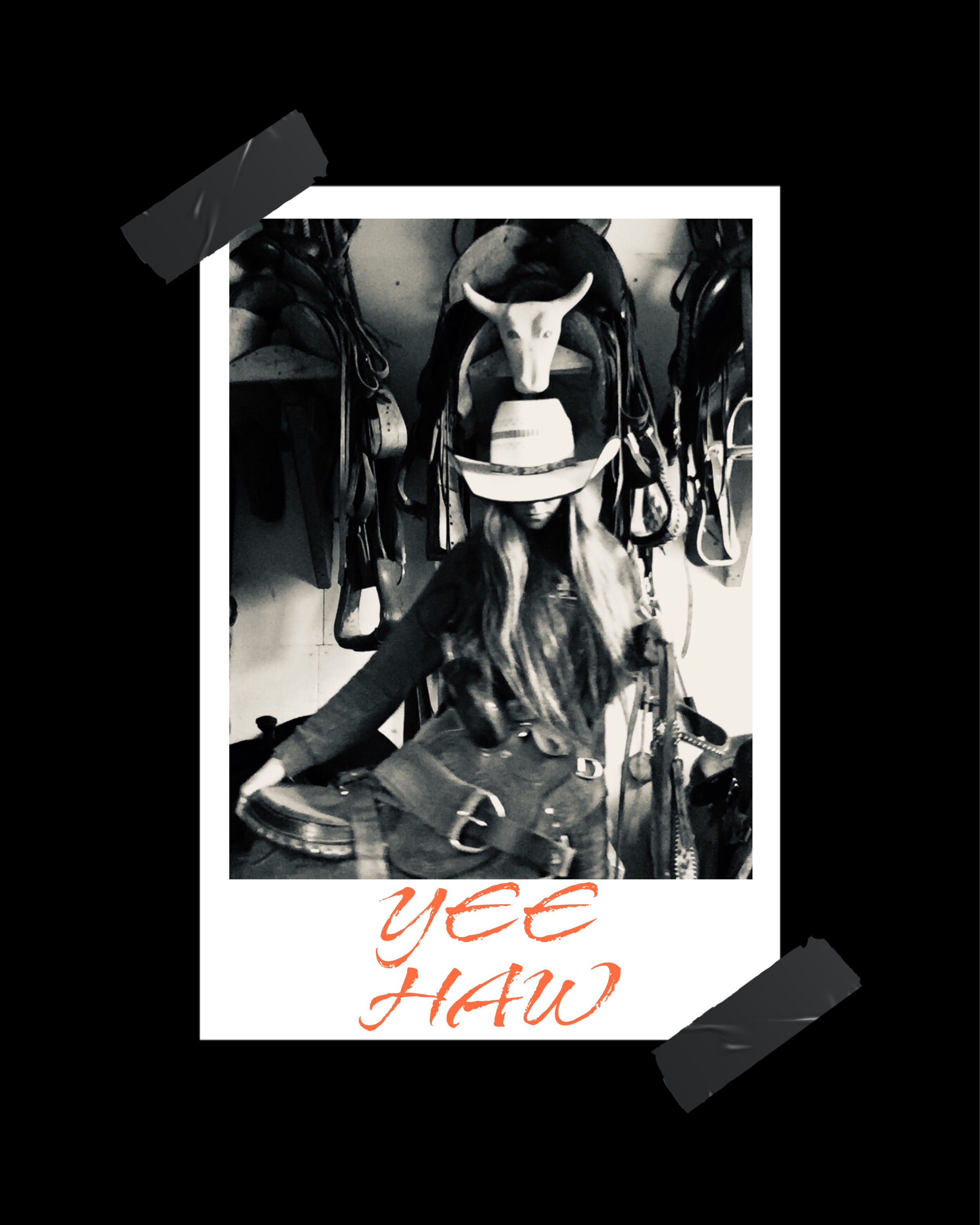 Cowgirlhat Similar Hashtags Picsart