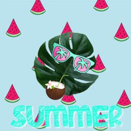 srcniche niche freetoedit summervibes watermelon