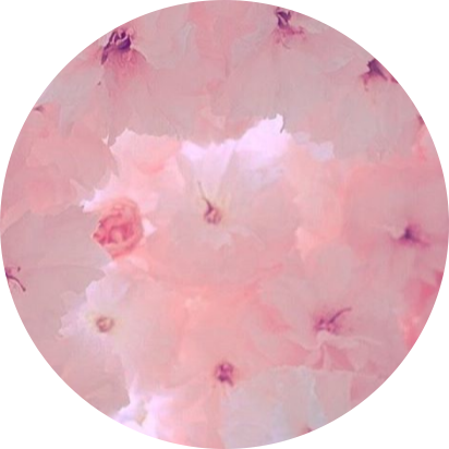 pink lightpink aesthetic pinkaesthetic sticker by @smollaci