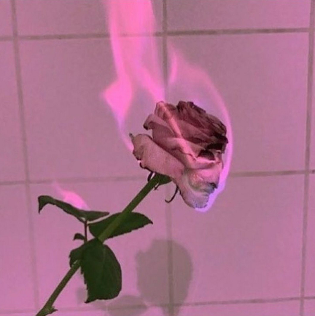 Aesthetic Pink Image By 𝕂𝕒 𝕣𝕞𝕖𝕟