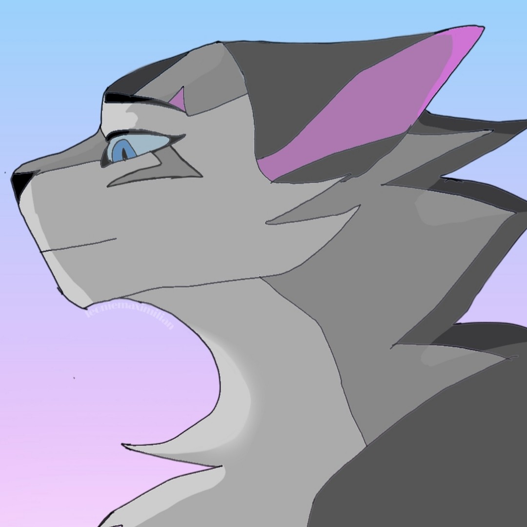 So I Tried To Draw Ivypool Because I Wanted To Practise