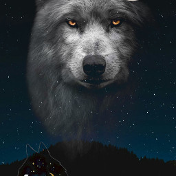 art wolf wolves night wallpaper freetoedit